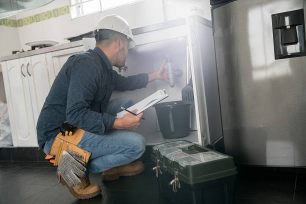 Best Residential Plumbing Services  in Taylor Creek, FL